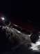 Night Wheelin @ Watson 3.jpg